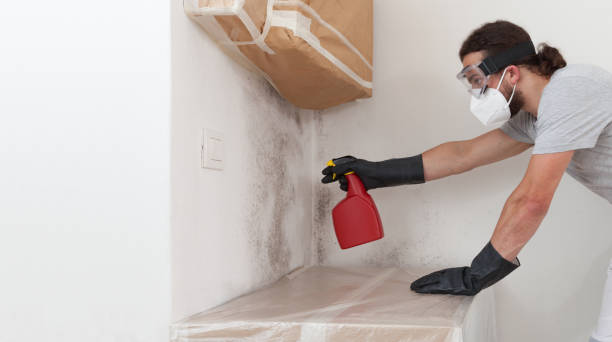 Professional Bathroom Mold Removal technician working in Largo, MD