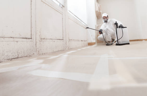 24/7 Emergency Bathroom Mold Removal experts in Largo, MD